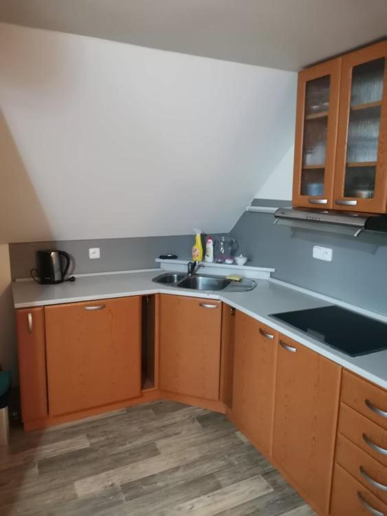 Appartement Apartman Damiko à Chřibská Extérieur photo